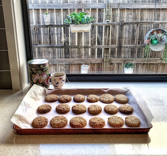 Rolled Oat and Coconut Biscuits